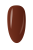 IMG_7281.PNG