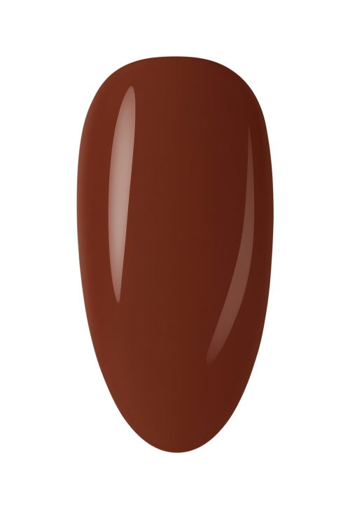 IMG_7281.PNG