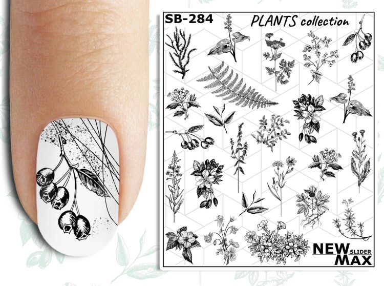 Naklejki Wodne SD-405