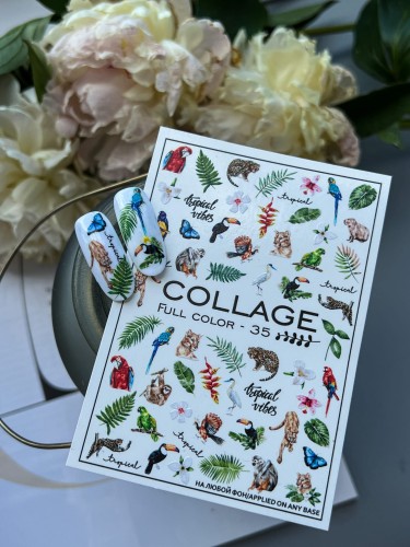 Naklejki Wodne Full Color-33